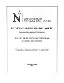 Derecho al libre desarrollo y al bienestar