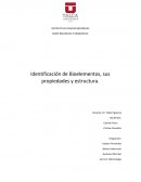 Identificación de Bioelementos, sus propiedades y estructura