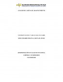 ANALISIS DE CADENA DE ABASTECIMIENTO