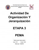 Actividad de organizacion y jerarquizacion etapa 3 PEMA