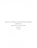 IMPACTO EN LA ECONOMIA DE LA GESTION DE COMPETENCIAS LABORALES