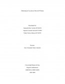 Marketing de Excelencia Microsoft Walmar