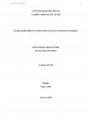 Proyecto sobre cultivos de plantas