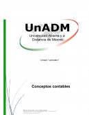 Conceptos basicos de contabilidad
