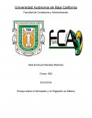 Ensayo sobre el Monopolio y el Oligopolio en México