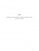 Identificación de los factores Biológicos y Ambientales que influyen en el estado nutricional de los escolares