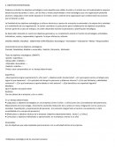 Objetivos estrategicos