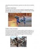 ¿Qué efectos tiene los fenómenos naturales en las redes (internet, telefonía, etc.)?