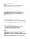 Contaminación de cadmio en el cultivo de arroz