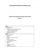Laboratorio de Fundamentos de Genética y Biotecnología Etapa 1 y 2