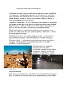 Causas y consecuencias de la deforestación