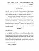 ENSAYO SOBRE EL ESTUDIO DE MERCADO DE LOS PROYECTOS DE INVERSIÓN