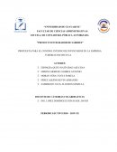Proyecto integrador de saberes. Propuesta para el control interno de inventarios en la empresa Tuberias Pacifico S.A.