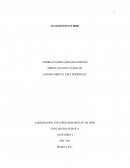 Actividad 1 Análisis de endeudamiento