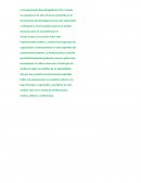 La Programación Neurolingüística (P.N.L.)