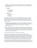 Ensayo Vida Universitaria