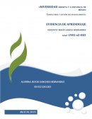 Actividad evidencia Proveedora rendon