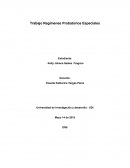 Trabajo Regímenes Probatorios Especiales