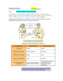 Fisiologia. Clase 1: “Sistema endocrino”