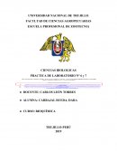 CIENCIAS BIOLOGICAS PRACTICA DE LABORATORIO N° 6 y 7