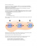 Principios de metabolismo celular