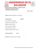 Movimiento Parabólico en Caída Libre