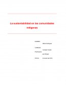 La sustentabilidad en las comunidades indígenas
