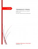 Trabajo sobre cronicas de una muerte anunciada