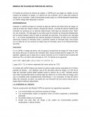 MODELO DE FIJACION DE PRECIOS DE CAPITAL