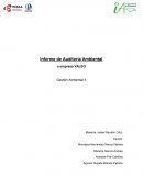 Informe de Auditoría Ambiental a empresa VALEG