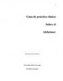 Guía de práctica clínica Sobre el Alzheimer