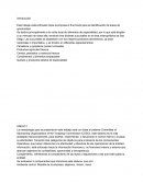 Reflexión contabilidad empresa k fine foods