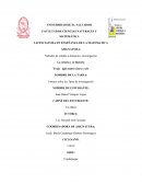 Ensayo sobre los Tipos de investigación