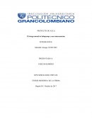 El riesgo moral en Salupcoop y sus consecuencias