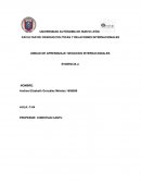UNIDAD DE APRENDIZAJE: NEGOCIOS INTERNACIONALES