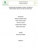 INTERVENCIONES DE ENFEMERIA A PACIENTE CON RIESGO DE PERFUCION RENAL INEFICAZ EN CLINICA DE CUARTO NIVEL
