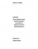 FORMATO PARA REGISTRO DE MEDICIONES DEL SUELO. CALCULOS