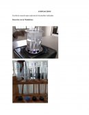 Aminoacidos. Reacción de Millon