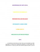 ANALISIS DE LECTURA EN INGLES