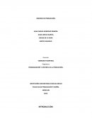 PROGRAMACIÓN Y CONTROL DE LA PRODUCCIÓN