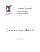 ¿Que es una Empresa Publica?
