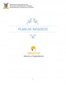 PLAN DE NEGOCIOS minería