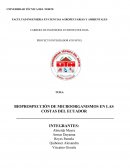 BIOPROSPECCIÓN DE MICROORGANISMOS EN LAS COSTAS DEL ECUADOR