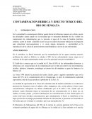 CONTAMINACION HIDRICA Y EFECTO TOXICO DEL RIO DE SENKATA