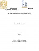 Velocidad de reaccion