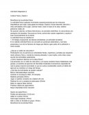 Cultura Física y Salud 4 Beneficios de la actividad física