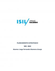 PLANEAMIENTO ESTRATEGICO Identificación de los problemas de negocio. Página 1