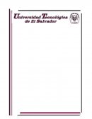 Tramites empresariales en la alcaldía de San Salvador