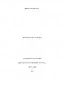 Estrategia de mercadeo La Finca La Esperanza