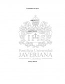 Propiedades del agua Taller 7